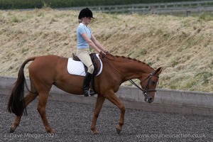 ISIS Dressage Challenge 2008